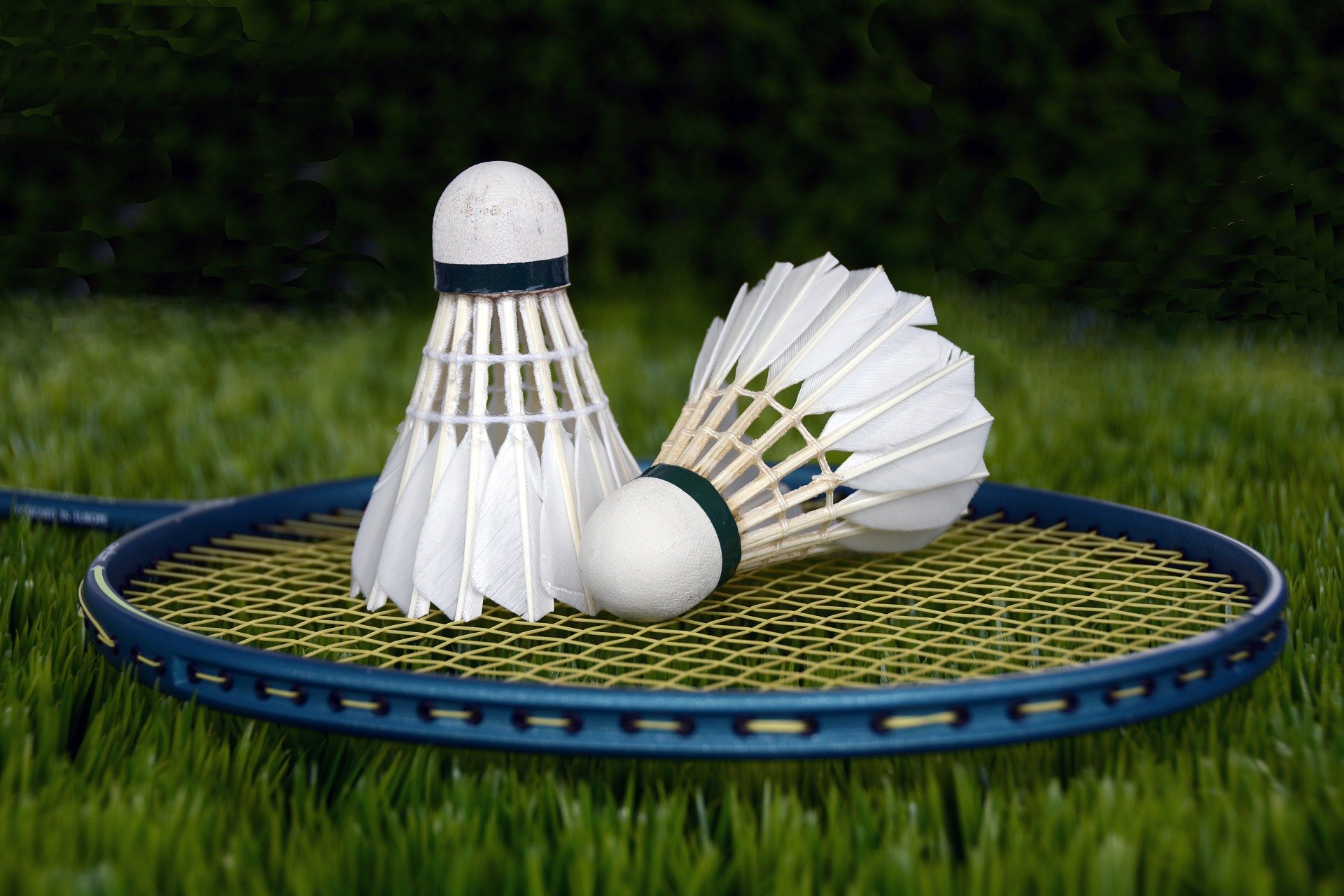 para badminton 