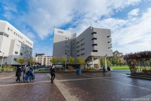 universita 3 20191128 1060561867be7283d5a12f97d3c1185316f69be