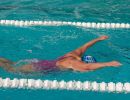 finp 14 20180625 2021968831c70a4909405012f16055b3d8227e02