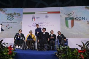 collari 13 1d4e8046c84823d3552ae02029832170