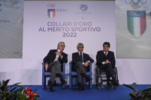 collari 22 1aaea343faed966bba78b9dedd069b82