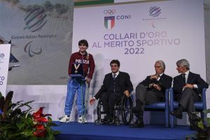 collari 7 1e35e8e4d7dc69e3dfdd174cdb53b6e426