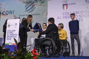 collari305ab71407361390ad544992209f1a37c