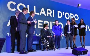 cip   casagrande e dressadore 1 20171222 dd759e50d9704906bd89db1d5d5a50fe
