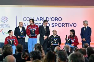 collari d oro foto mezzelani gmt029 baf69146c1fee15bd19167dd1cbbae6a