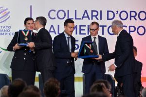 collari d oro foto mezzelani gmt135 a1c1b2c66bfbf6ea35b02b3e23d6df13