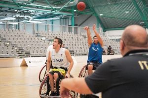 basket 11c16a52001db15415b39f6fd8386ac