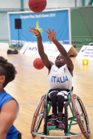 basket 13d13baaec6d49a390bd70716926b2b32