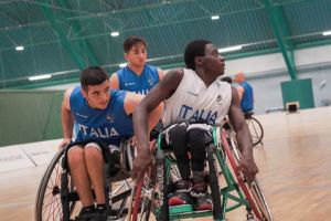 basket 4e104e7e30ed3c98452e2b8f367fb7c