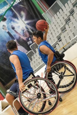 basket e679adfec610d2476597d737a9d0fec7