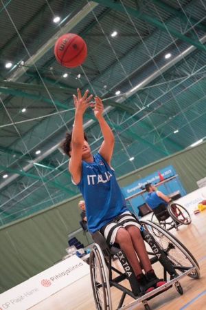 basket 2db852375f75598df4756f2ccd5b62a38