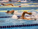 jpg nuoto nuoto jpg 2a303cb4c75df9242d2ec908c16b57d1