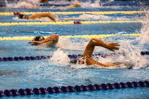 jpg nuoto nuoto jpg 2a303cb4c75df9242d2ec908c16b57d1