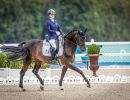 0904 dressage sileoni federicagv su leonardo   sport equestri individuale 28554 ph fisee7c891c9d89d776c869c767fadee7fa
