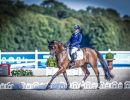 0906 dressage francesca salvade ph argenziano massimo fise 270752590 bf1f120de3a91303681cee521c8de037