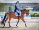 0906 dressage sara morganti ph argenziano massimo fise cdc7ff64ba5cac0848906a974fc7b6a6