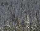 le magnifiche montagne canadesi 20171108 1635710617b78ee3c13ec2101c90dda86ed913dd