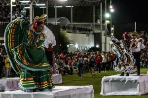 dsc04260 20181029 c201969048924da6f866b1e0049fc870