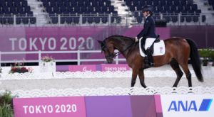 dressage sileoni ph pagliaricci bizziteam lpa01992 copiajpg0210908 1358837371f74b1a8bf5d4bce9cd1ce1306e15db4