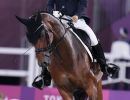 dressage sileoni ph pagliaricci bizziteam pag07399 copiajpg 20210908 1399396431ea62660a817f80a17fcd5d06da6