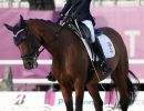 dressage morganti ph pagliaricci bizziteam lpa02712 copiajpg 20210908 2042735081e1351c8f52c6850a8e83c713c5857cc