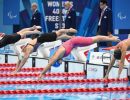 nuoto gilli c foto pavia bizziteam cipdsc 4029 20210908 c5ff5381003108e17d5f9b2c346867ae