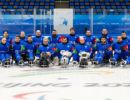 gruppo para ice hockey d6440b651e54c76130ccff49496eb78e