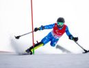 bendotti slalom f08e3d32bd2551f34e175bf0bdbe2f89