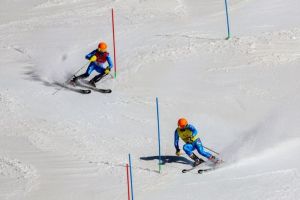 bertagnolli azione slalom supercombie202ec3e3d2893ea403992779d4a6b7