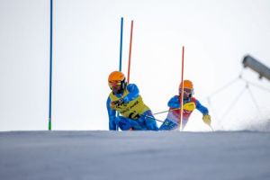 bertagnolli slalom 2b1bd3615e15f75573365cf9077e171