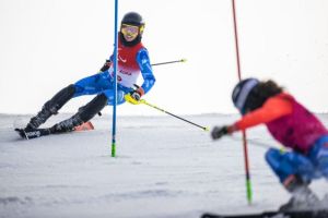 vozza slalom f0cf500a37e8f6cb46ef7fbf9e9669d2