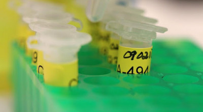 Tokyo 2020: una pagina web dell'IPC dedicata all'antidoping