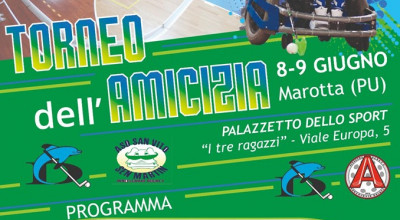 Si sono conclusi da poco i play-off che ha visto i Black Lions di Venezia agg...