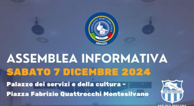 Assemblea Informativa FSSI