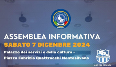 Assemblea Informativa FSSI