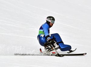 de silvestro_mico2026