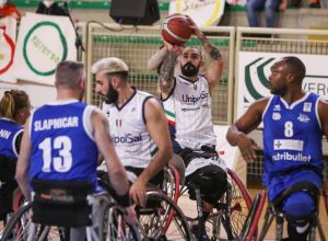 Basket in carrozzina