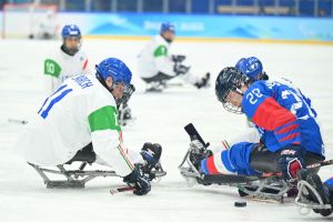 Italia vs Corea Larch