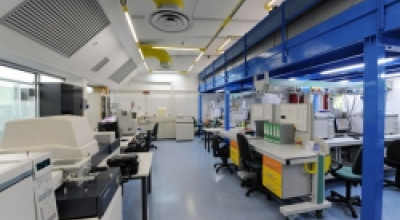 Antidoping: accolto l'appello proposto dalla Procura antidoping per Carlo Cal...