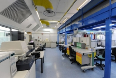 Antidoping: accolto l'appello proposto dalla Procura antidoping per Carlo Cal...