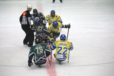 Para ice hockey: i Tori Seduti espugnano il Palaghiacchio di Varese