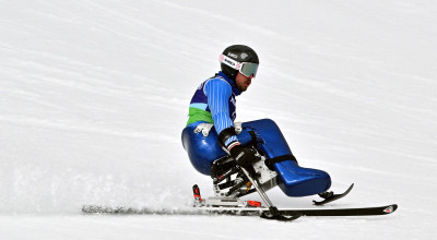 de silvestro_mico2026