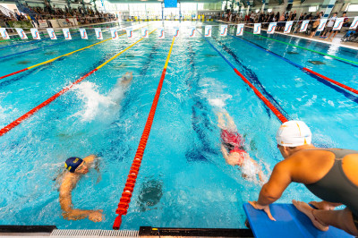 Nuoto: alla Polha Varese lo Scudetto e la Coppa Italia Maschile, alla Lazio N...