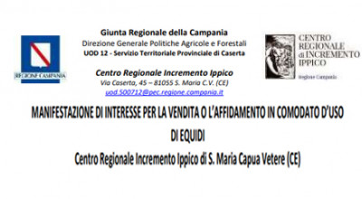 MANIFESTAZIONE DI INTERESSE PER LA VENDITA O L’AFFIDAMENTO IN COMODATO ...