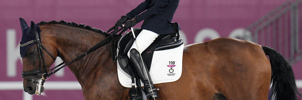 Royal Delight il cavallo di Sara Morganti Royal Delight il cavallo di Sara Morganti