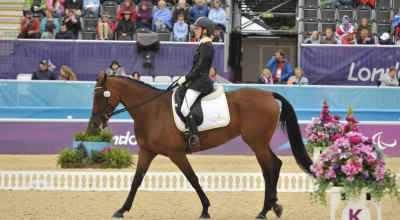 Tutorial Sport Paralimpici: equitazione