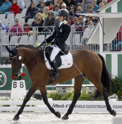 Paradressage: a Goteborg (SWE) gli Europei