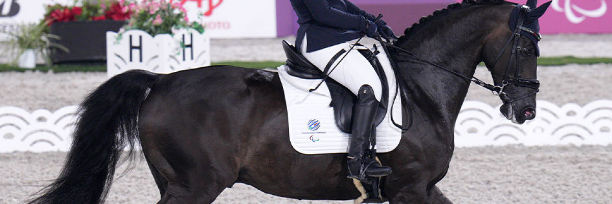 Oliver Vitz il cavallo di Francesca Salvadè Oliver Vitz il cavallo di Francesca Salvadè