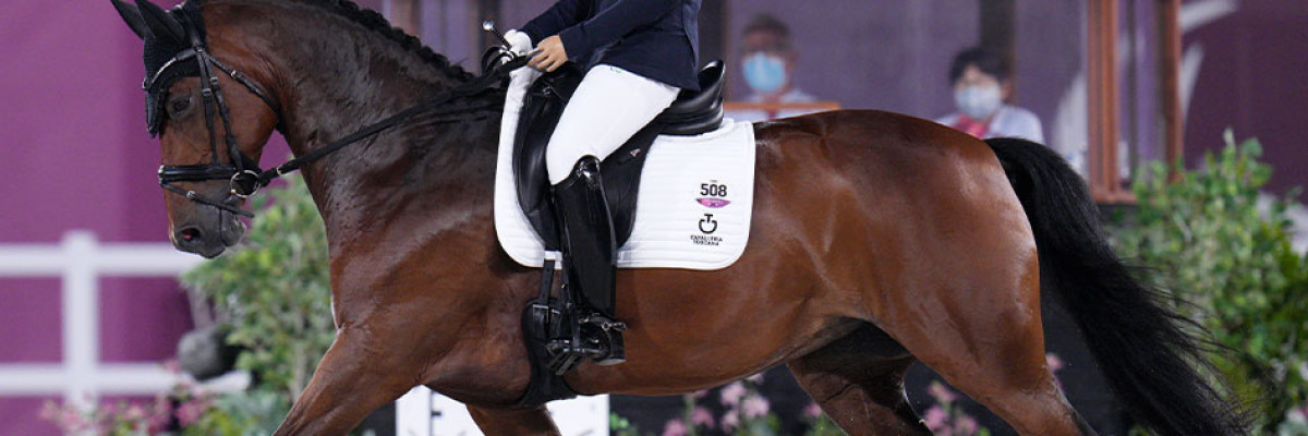 Burberry il cavallo di Federica Sileoni Burberry il cavallo di Federica Sileoni