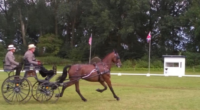 FISE: Giulio Tronca a Monaco per la gara di attacchi paralimpici